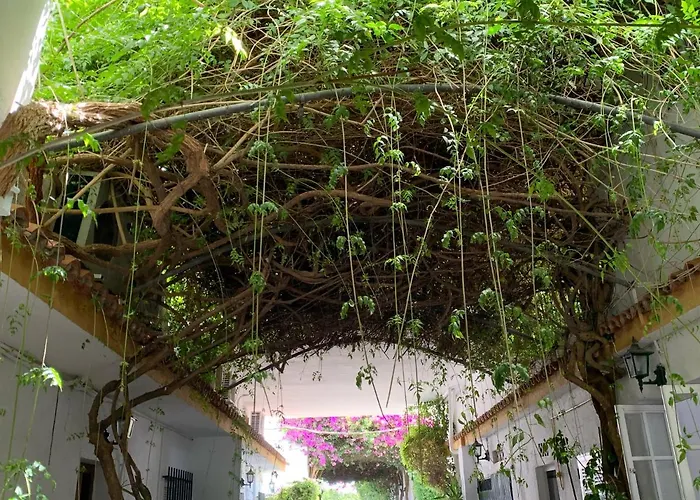 科尼尔安东尼奥酒店