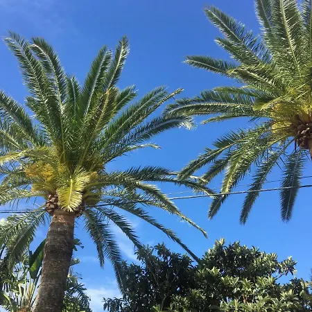 Antonio Conil Готель