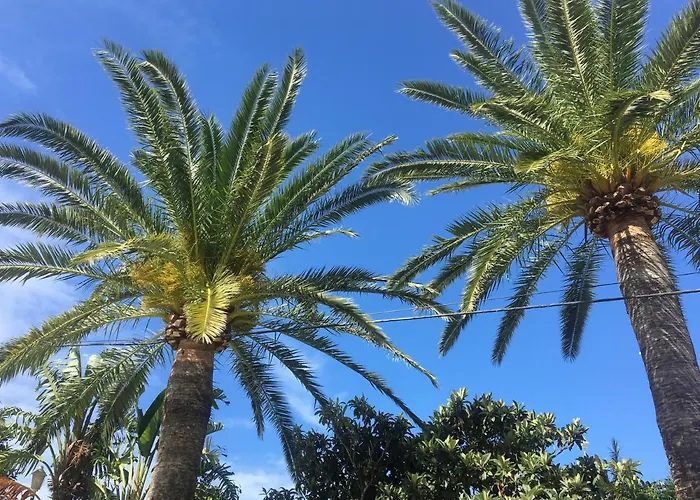 Antonio Conil ホテル